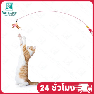 🔥Pet Record ไม้ล่อแมว ของเล่นแมว สุนัข หมา มีเสียงกระดิ่ง ปลา,ขนไก่ ดึงดูดความสนใจของสัตว์เลี้ยง
