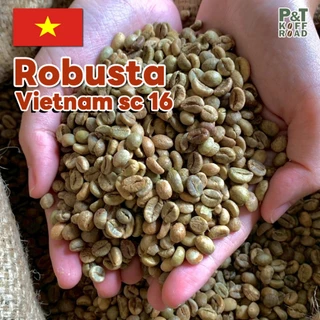 [💥กระสอบ 5 kg💯] สารกาแฟโรบัสต้าเวียดนาม SC16-18 | Dry Process or Natural Process P&T KoffRoad