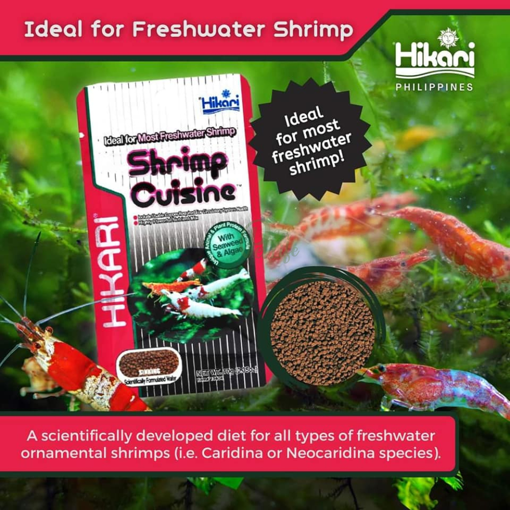 Hikari Shrimp Cuisine (ฮิคาริ) อาหารสำหรับกุ้งแคระ กุ้งเชอรี่ กุ้งเรดบี หรือกุ้งในตระกูล Caridina เม็ดจม (10g.)