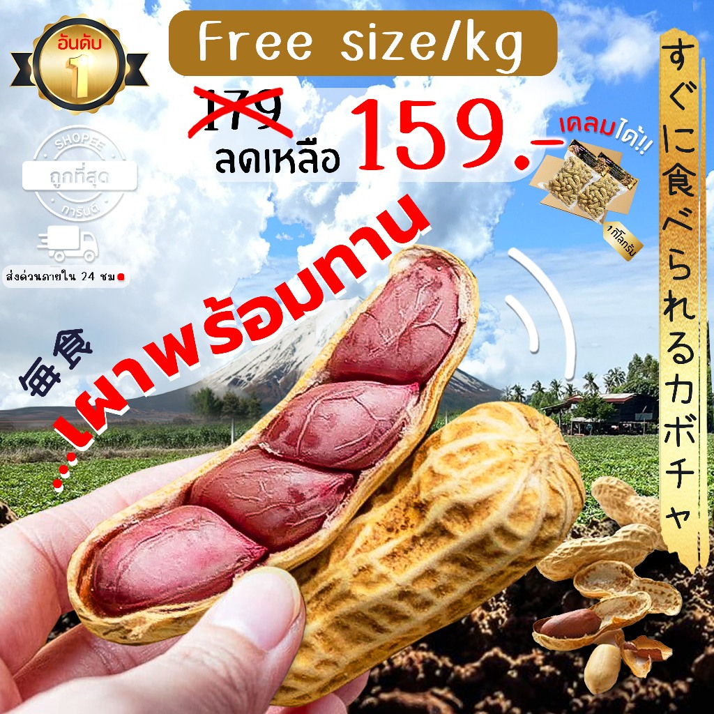 Oishi-Fresh ถั่วลิสงต้ม พร้อมทาน หวาน มัน เคี้ยวเพลิน 1 กก. สินค้า จัดส่ง 24 ชม.