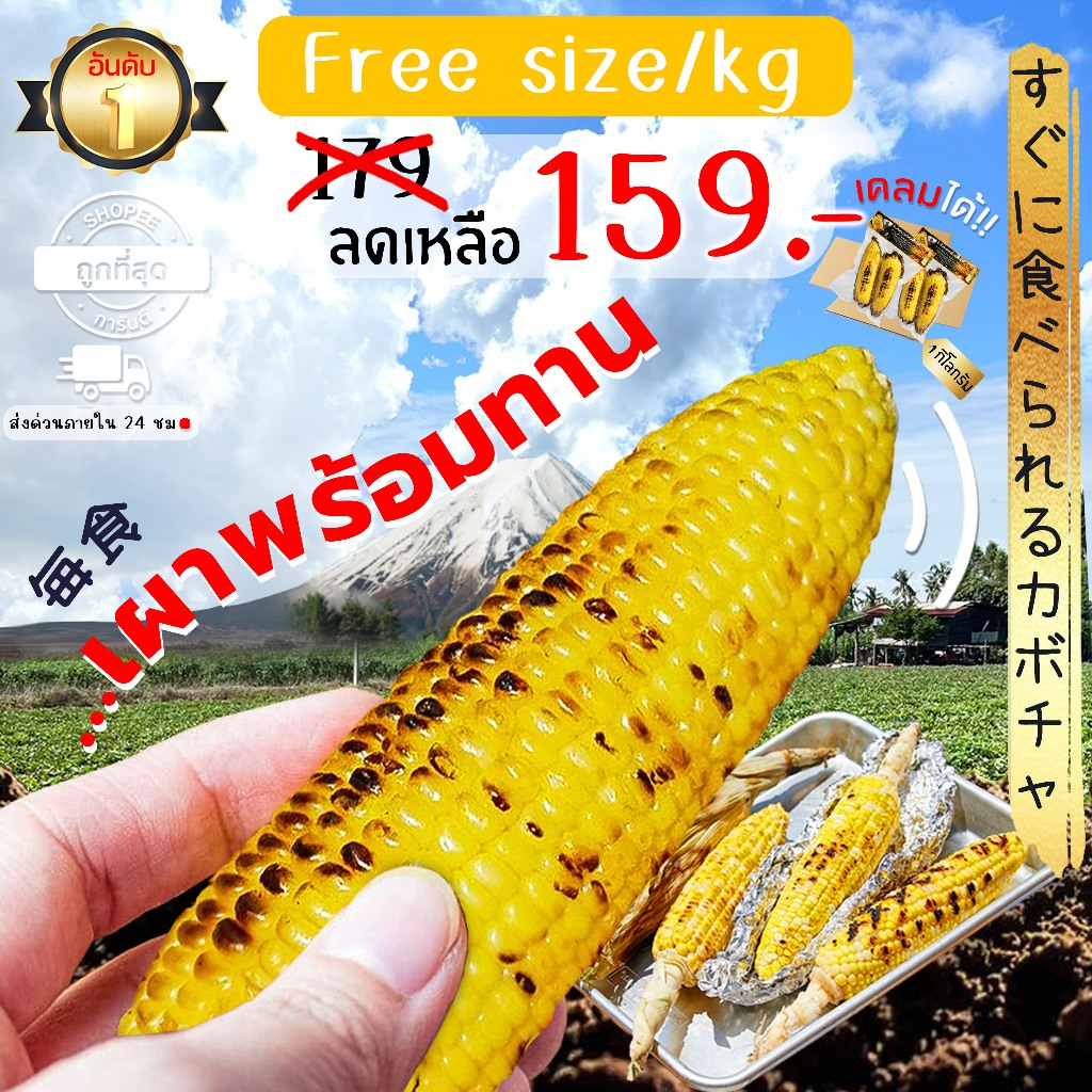 Oishi-Fresh ข้าวโพดหวาน เผาพร้อมทาน เมล็ดเหลือง หอม หวาน เคี้ยวเพลิน 1 กก.4-6 ชิ้น จัดส่ง 24 ชม.