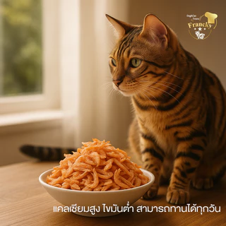 ✨ หอมยั่วน้ำลาย! Francky กุ้งฟรีซดราย 100% (40g) ขนมกระตุ้นการกินสุนัข-แมว แคลเซียมสูง โปรตีนแน่น