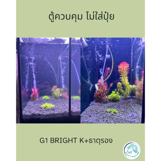 (ส่งด่วน) ปุ๋ยไม้น้ำ G1 สูตร K+ธาตุรอง สูตรสำหรับตู้ตั้งใหม่, ตู้พืชโตช้า เร่งราก ลดความเสี่ยงตะไคร่