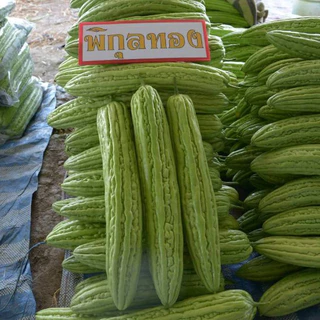 เมล็ดพันธุ์ มะระจีนพิกุลทอง (ซองก้นตั้ง)