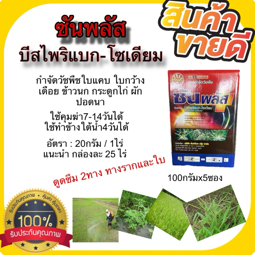 ซันพลัส 500กรัม(บิสไพริแบค-โซเดียม20%)กำจัดวัชพืชได้ทั้งใบแคบ ใบกว้าง กก หญ้าข้าวนก ผักปอดนา ดูดซึมทางราก ทางใบ คุมฆ่า