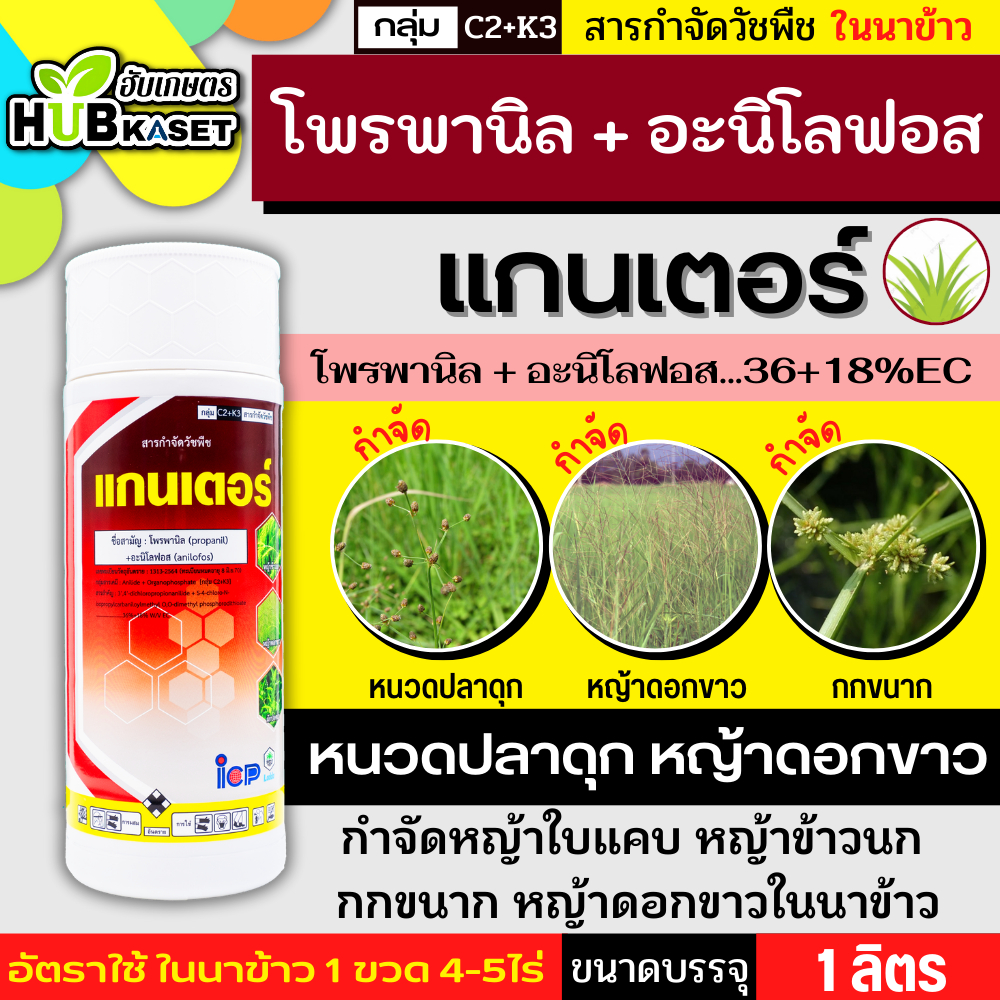 แกนเตอร์ 1ลิตร (โพรพานิล + อะนิโลฟอส...36+18%EC) คุมวัชพืชใบแคบ ใบกว้าง และกก