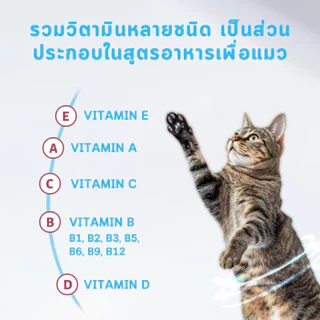 MR.Vet อาหารแมว T4 1กก. 6fish with Freeze Dried อาหารแมวแห้ง รโฮลิสติก สำหรับแมวในร่ม ดูแลแบบ Low Sensitivity