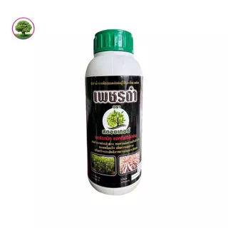 เพชรดำ ฮอร์โมนเร่งราก น้ำยาแช่ท่อนพันธ์มันสำปะหลัง ขนาด 500 ml. ยกลังมี 20 ขวด