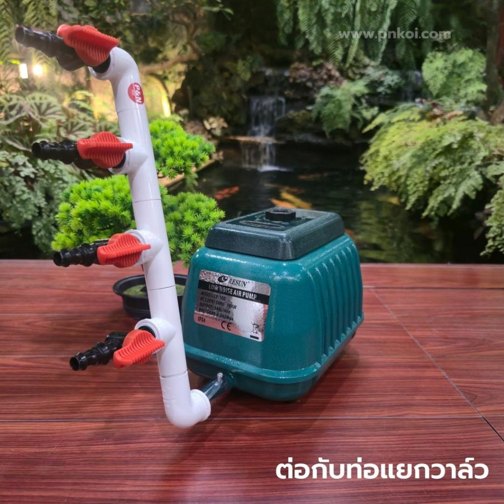 ชุดข้อต่อสแตนเลส 304 เกรด Premium สำหรับ ปั๊มลม LP60 LP100 LP200 (ในชุดไม่มีปั๊มลม) - รูปที่ 6