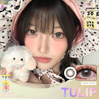 คอนแทคเลนส์เลนส์ ไฮโดรเจล Ulens พรีเมี่ยม Tulip ค่าอมน้ำ65% …