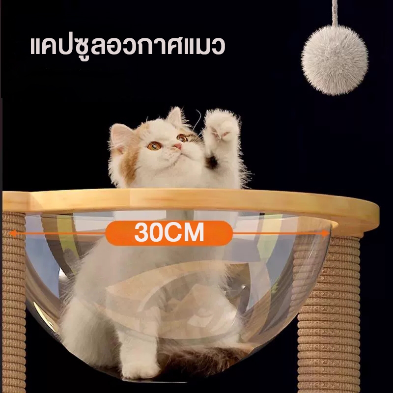 [สินค้ามาใหม่]F&Gแคปซูลอวกาศแมว คอนโดแมวไม้แมว ชิ้นส่วนDIY รับน้ำหนัก10kg ของเล่นแมว คุณภาพดี จัดส่ง