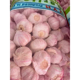 กระเทียมจีนหัวเล็ก 3.5CM ยกกระสอบ9.5-10KG