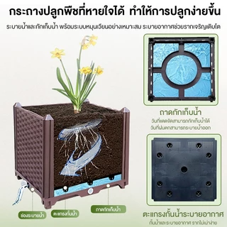 MAYILON กระถางต้นไม้ ปลูกผัก ถาดไดโซะ ปลูกผัก รางปลูกต้นไม้ กระถางราง กระถาง ถาดเพาะ กระบะปลูกผัก ยาว พลาสติกทนแดด