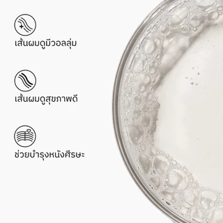 The Ordinary The Hair and Scalp Collection เซ็ตผมดูมีวอลลุ่ม สุขภาพดี เพิ่มความชุ่มชื้น