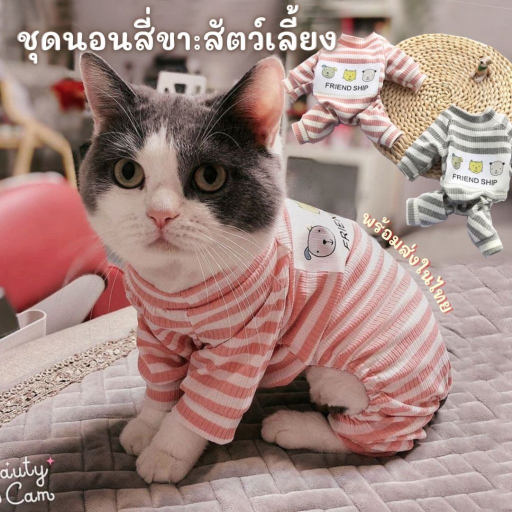ชุด 4ขา สัตว์เลี้ยง ชุดสี่ขา ลายขวาง  ผ้ายืด นุ่มสบาย ใส่ได้ทั้งน้องหมาน้องแมว  พร้อมส่งในไทย