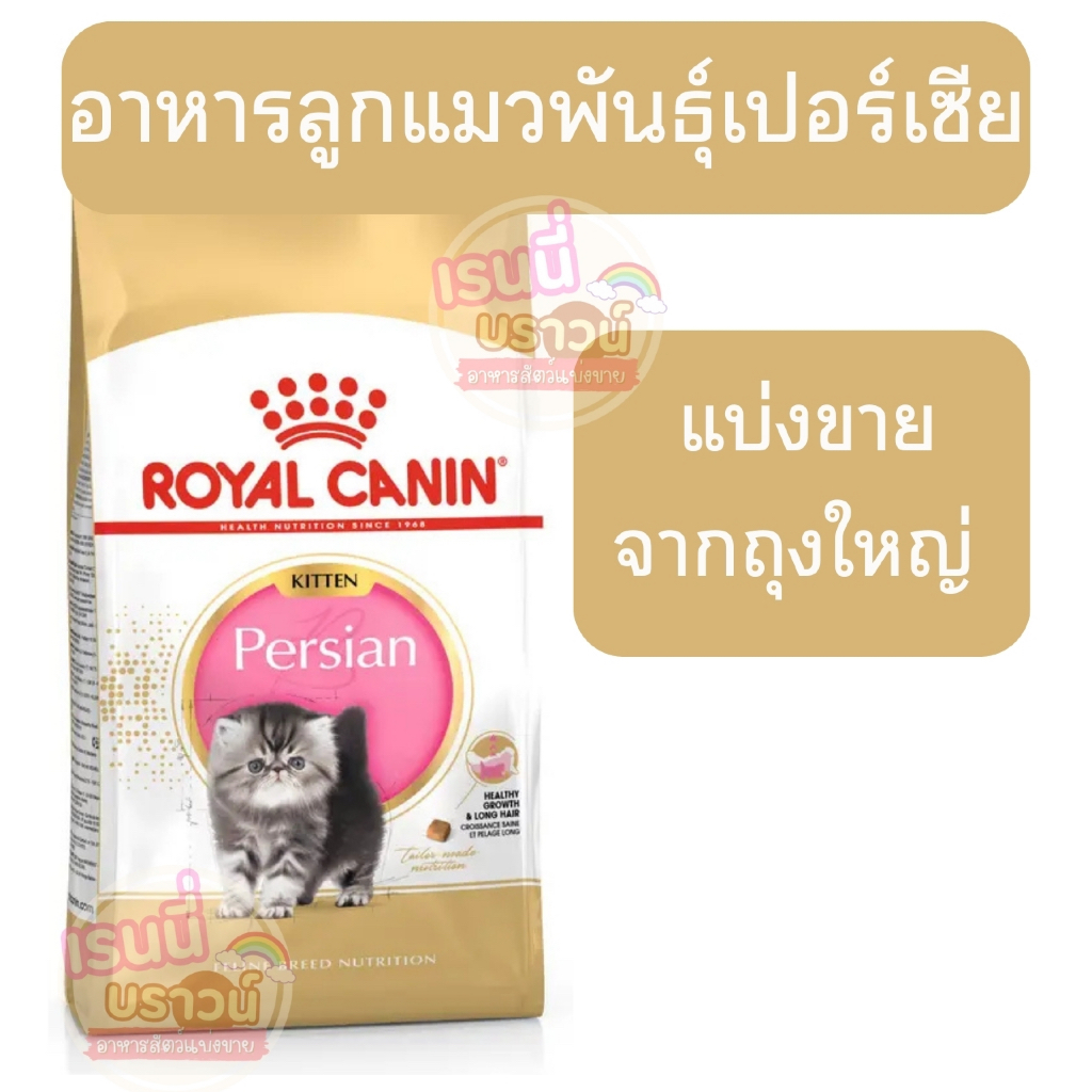 ส่งด่วนมาก+ผ่อนได้⚡️[[ลูกแมวเปอร์เซีย]] ((แบ่งขาย))Royal Canin Persian Kitten