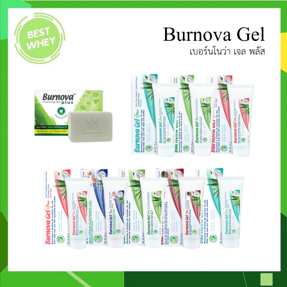 Burnova Gel Plus 25g // 70g VITARA เบอร์นโนว่า เจล พลัส ไวทาร่า (Gel Plus / Plankton / Snow Algae)