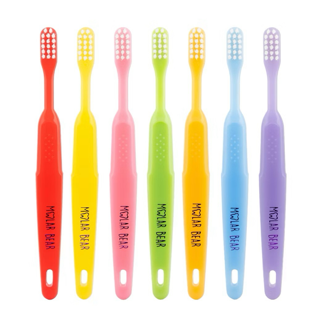 Molar Bear - แปรงสีฟันเด็ก 3-6 ขวบ+  ขนนุ่ม หัวแปรงขนาดพอดี จับถนัดมือ