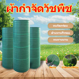 Daily Gold ผ้าคบุมดิน (เกรด A) ผ้ากันหญ้า พลาสติกกันวัชพืช กําจัดหญ้ ยาว5/10 คลุมวัชพืช น้ำซึมผ่านได้ ระบายอากาศ
