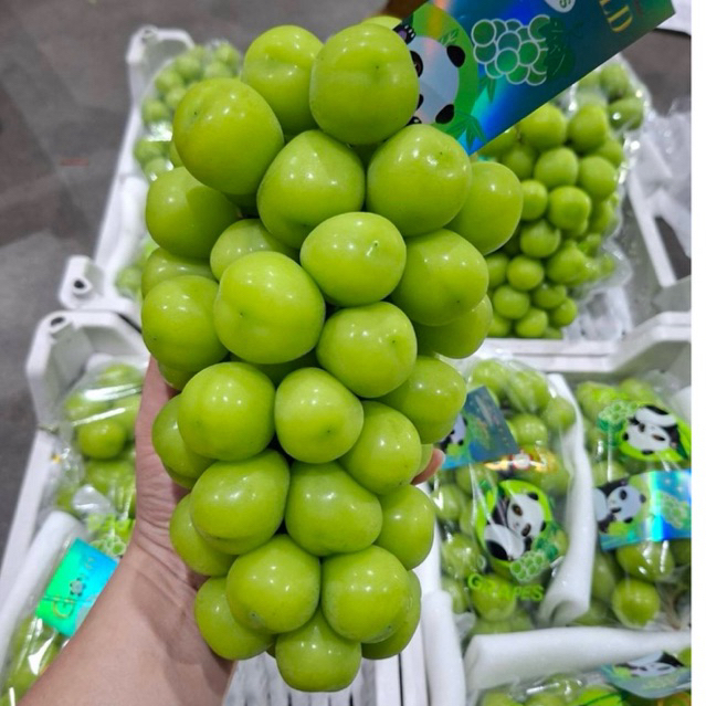องุ่นไซมัสคัส 1 ช่อ  (ขนาด 800 กรัม++ ต่อช่อ)