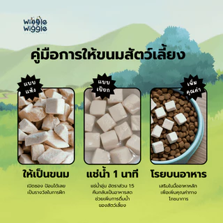 Wiggle Wiggle ฟรีซดรายแมว Freeze Dried Cat ขนมแมว มีเลขทะเบียนอาหารสัตว์ วัตถุดิบระดับ Human Grade ขนาด40กรัม