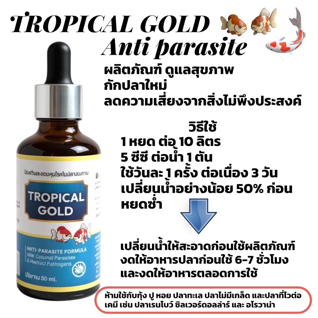 Tropical gold ดูแลสุขภาพปลา กักปลาใหม่ ลดความเสี่ยงจากสิ่งไม่พึงประสงค์