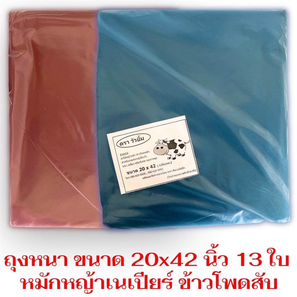 ถุงหมัก ขนาด 20x42 นิ้ว 1 กิโลกรัม/แพ็ค 13 ใบ ถุงวัวยิ้มหนาชั้นเดียว ไม่ต้องใส่กระสอบนอก หมักหญ้าเนเปีย หมักข้าวโพด