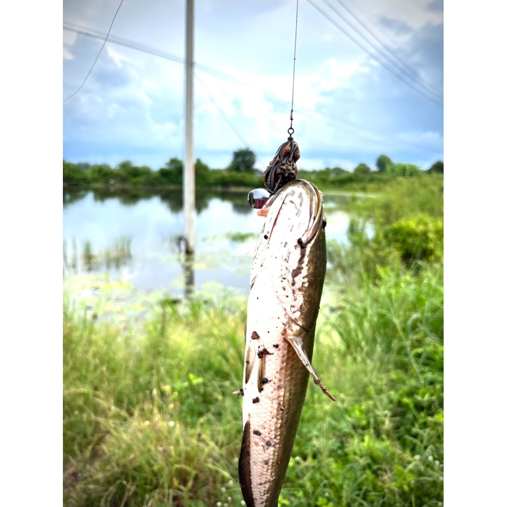 กบยาง GEN X 3.2cm/6.5g กบยางเจนเอ็กซ์ Fishing EZ ราคา ถูกที่สุด ดีลบีเคเค แกลเลอรีภาพที่ 4
