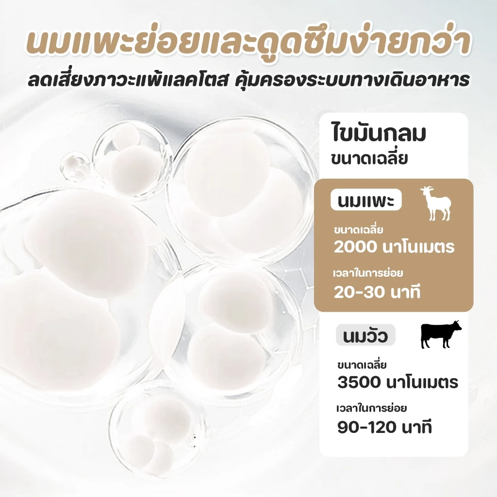 PETStar1🥇1 THB แมวจัง🥇 ขนมแมว เนื้อทูน่าแท้🇹🇭 วิตามินเอบำรุงสายตา🐟 ปราศจากสารกันบูด ดีต่อสุขภาพน้องแมวทุกวัย thumbnail 8