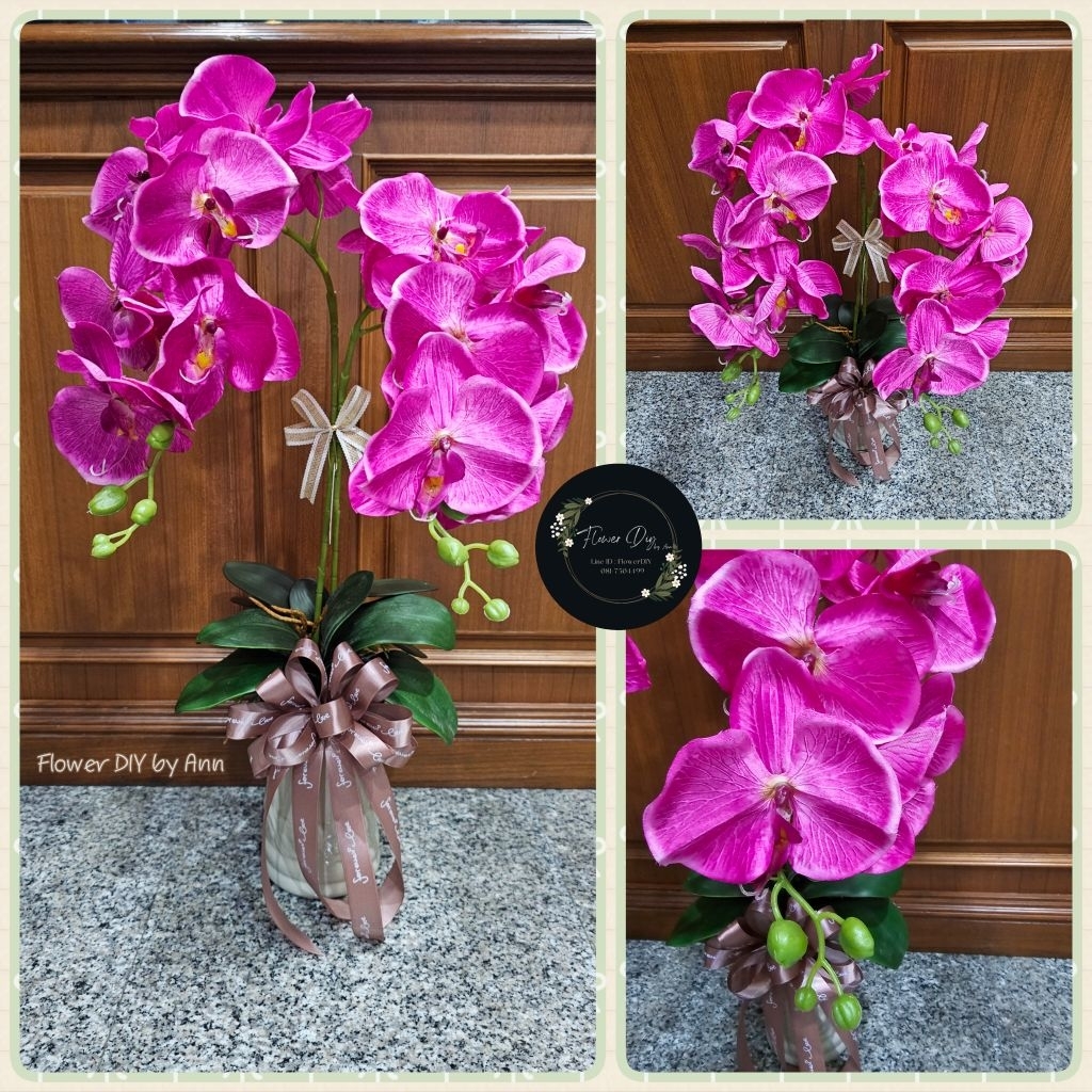 แจกันดอกกล้วยไม้ฟาแลนด์ กระถางกล้วยไม้ - รูปที่ 6