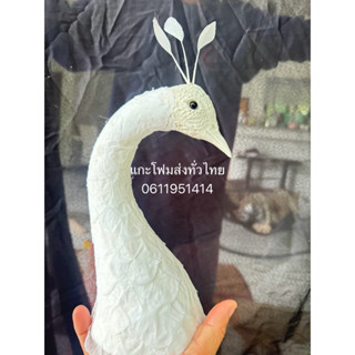 หัวนกยูง head of peacock #ส่วนหัวนกยูง #หัวนกยูง