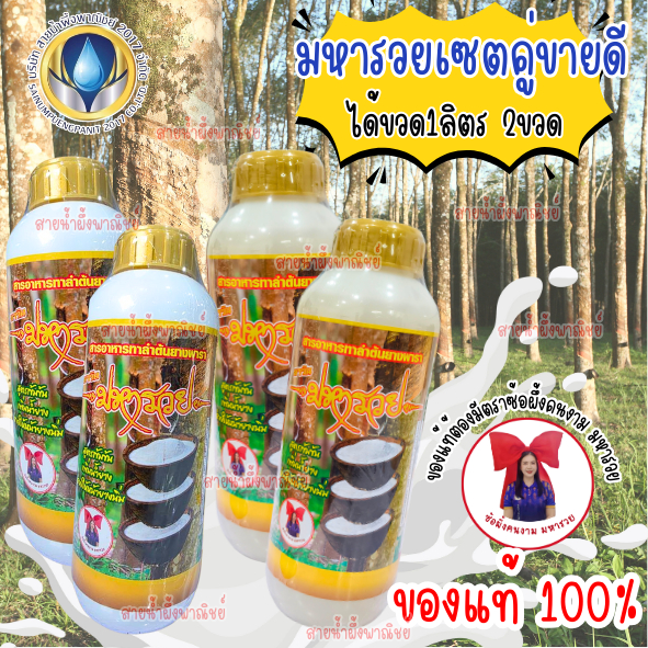 มหารวยขนาด1ลิตร แพ็คคู่ ทาหน้ายาง เข้มข้น ทำให้ต้นยางพาราแข็งแรง ไม่เกิดโรคราหน้ายางนิ่ม กรีดง่าย ไม่ยุบ