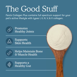Fera Pets Collagen Plus for dogs and cats