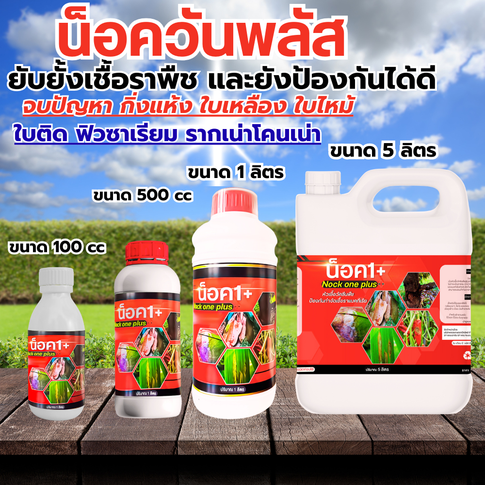 เจอปัญหาเชื้อราพืช ป้องกันและรักษา ด้วยสูตรน็อควันพลัส จบปัญหาฟิวซาเรียม โรคเน่าคอดิน ใบไหม้ ราสนิม