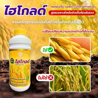 ไฮโกลด์ สูตรข้าวตั้งท้องรับรวงสารสกัดเข้มข้น ขนาด 1 ลิตร ข้าวเมล็ดใหญ่ น้ำหนักดี สีสวย รวงใหญ่ยาว ทนต่อทุกสภาพอากาศ