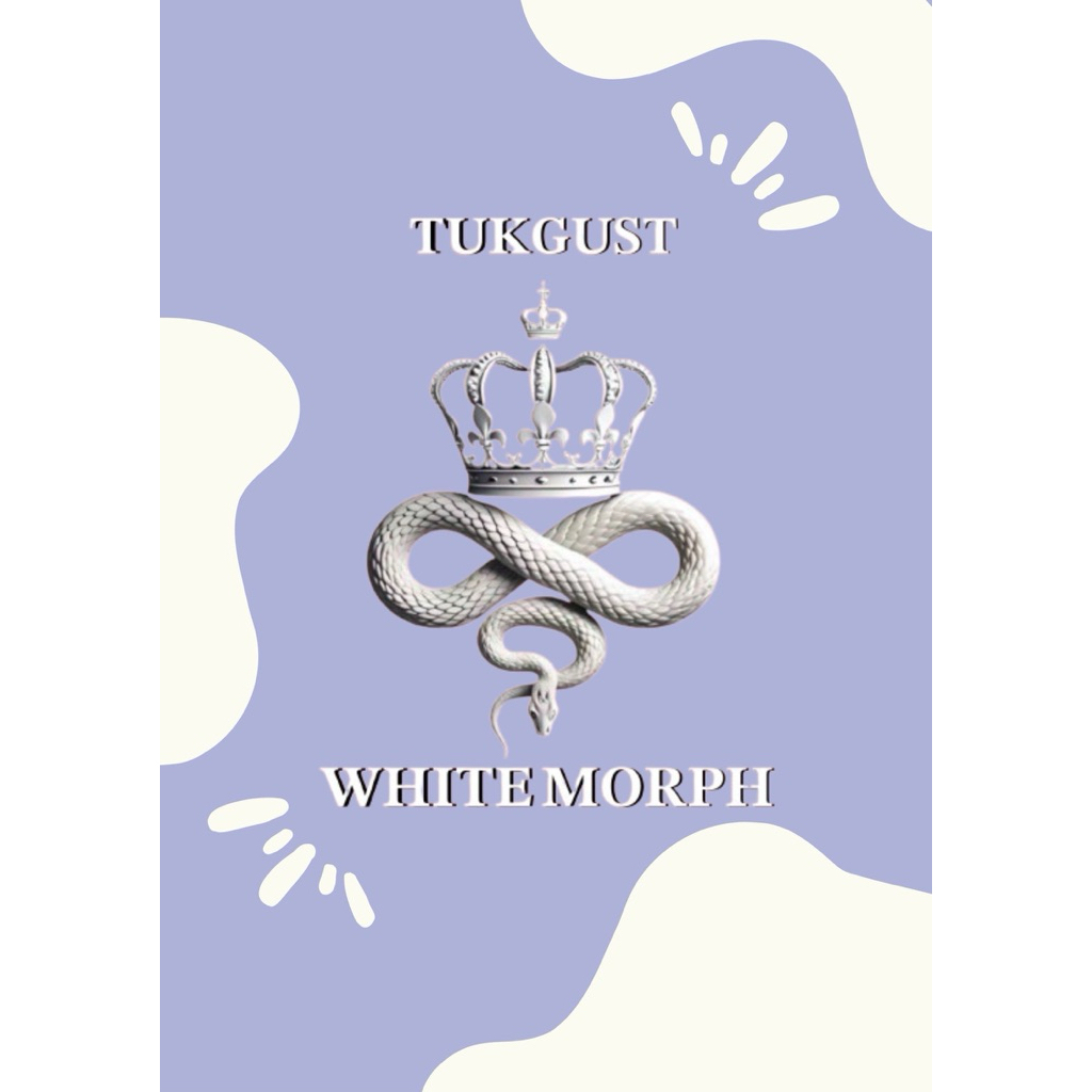 Bel 0.1 Y25 Special Bamboo poss BP