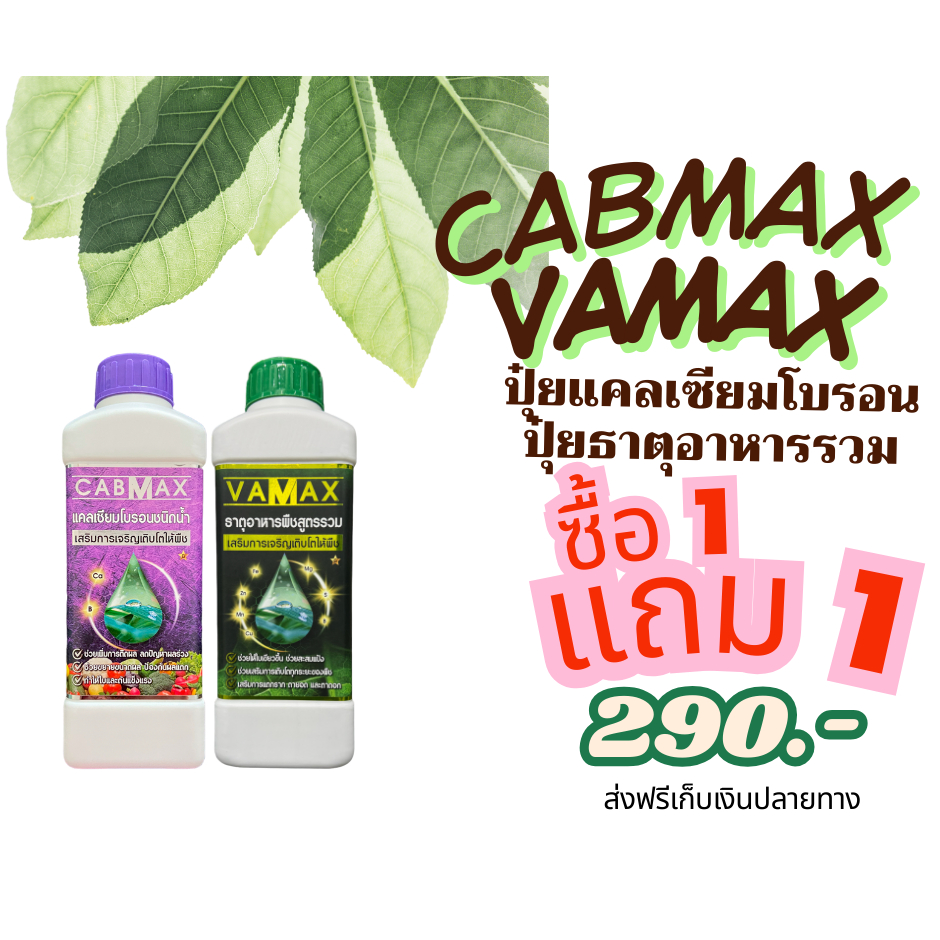 CABMAX VAMAX ซื้อ 1 แถม 1 แคลเซียมโบรอนเข้มข้น แถมปุ๋ยธาตุรวม ผลดก ขั้วเหนียว ลดร่วง ครบ จบ ใน 1 ชุด