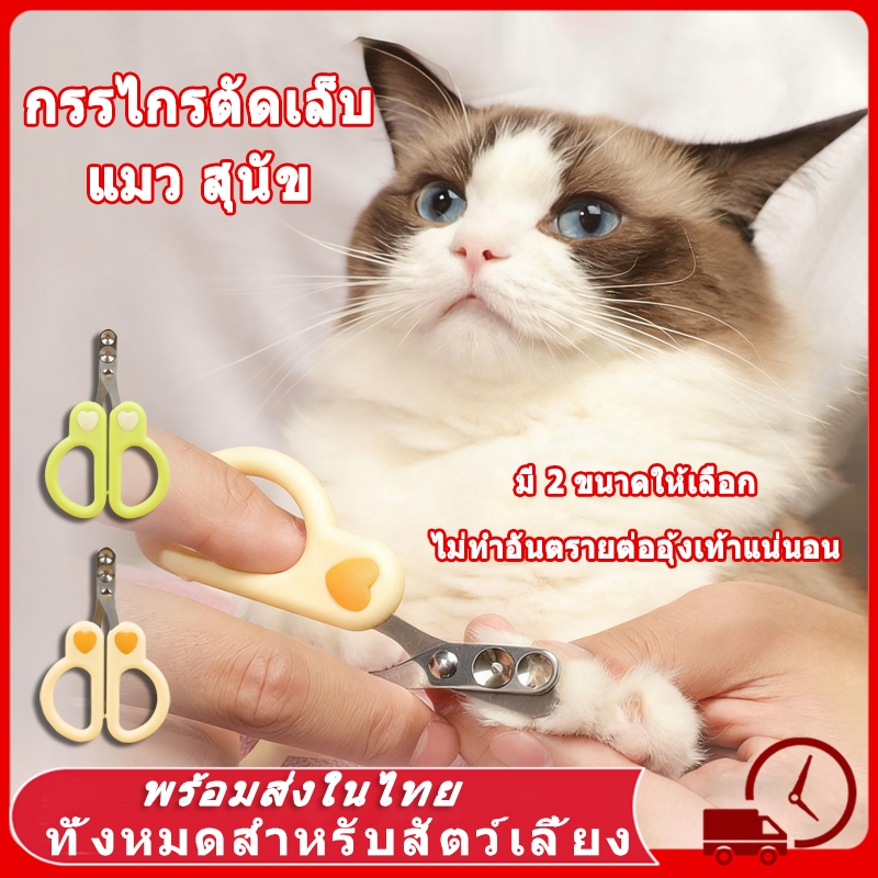 ✂️🐾 กรรไกรตัดเล็บ แมว สุนัข ปลอดภัย ใช้ง่าย กรรไกรตัดเล็บแมว ตัดเล็บสุนัข กรรไกรตัดเล็บสัตว์เลี้ยง มีให้เลือก 2 ขนาด