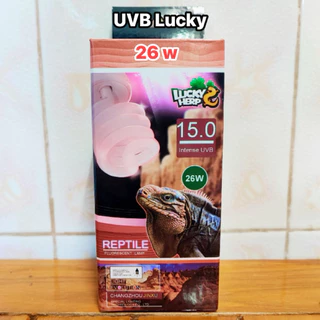 ชุดกกไฟ UVA และ UVB พร้อมใช้งาน