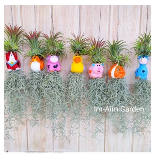 ((1ชุด10ชิ้น))เคราฤาษีแต่งตุ๊กตาสัตว์-กระถางเซรามิก-กระถางพลาสติกสีพาสเทล งานคุณภาพเคราสวยๆตรงปก