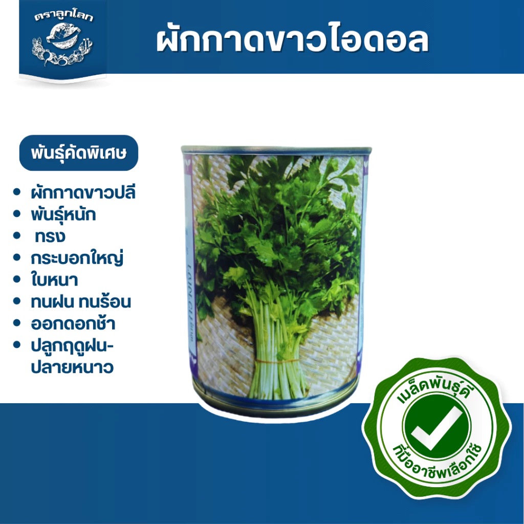 ตราลูกโลก เมล็ดคื่นฉ่าย กวางเจา Celery เมล็ดพันธุ์ผัก ผักสวนครัว ผักซอง ลูกโลก