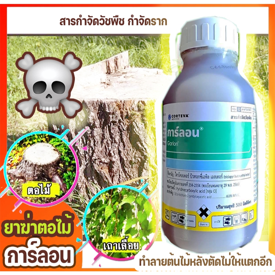 การ์ลอน 500 / 100 CC กำจัดตอและรากไม้ ทำลายตอไม้ ราก วัชพืช ตอกระถิน