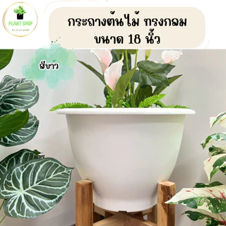 กระถางต้นไม้ทรงกลม ขนาด 18 นิ้ว กระถางทรงใหญ่ เนื้อหนา แข็งแรง ทรงสวย