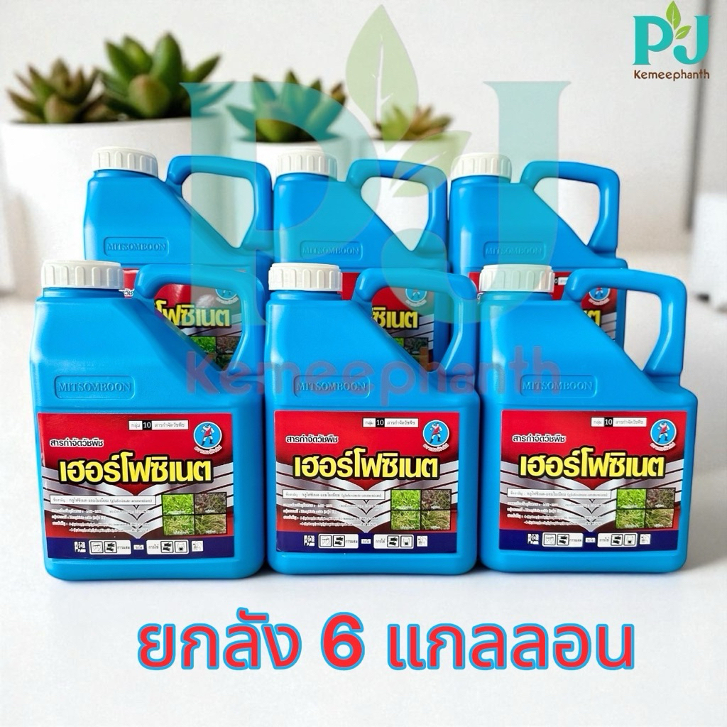 เฮอร์โฟซิเนต ขนาด 4 ลิตร<<ยกลัง 6 แกลลอน>>  #กลูโฟซิเนต แอมโมเนียม ตราเฮอร์คิวลิส น้ำสีฟ้าเกรดA เผาไหม้กึ่งดูดซึม