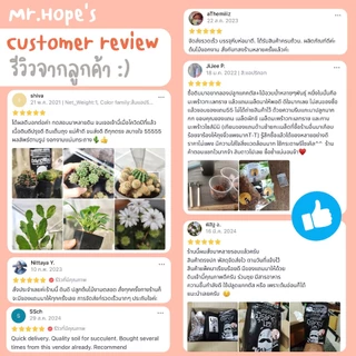 🔥ปรุงสดใหม่🔥ดินแคตตัส ดินกระบองเพชร สูตรพรีเมี่ยม! จุแน่นเต็มถุง! (Premium Organic Cactus Soil)
