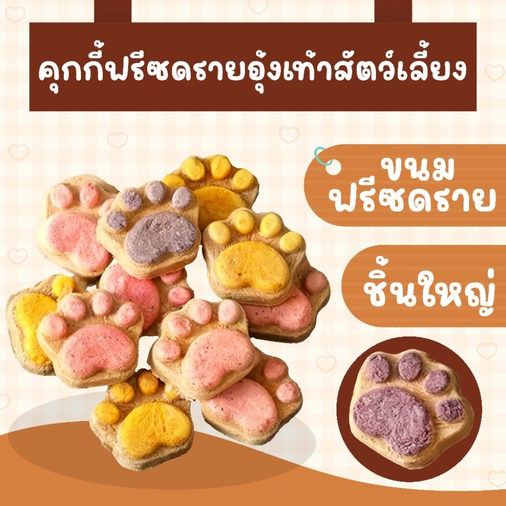 ⭐️ คุกกี้อุ้งเท้าชิ้นใหญ่ ขนาดทดลอง (ขนมอาหารสัตว์ฟันแทะแฮมสเตอร์ ชูก้าไรเดอร์ เม่นแคระ ดอเม้าส์)