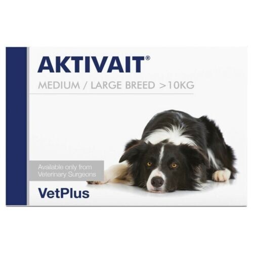 AKTIVAIT Medium & Large Breed( วิตามินบำรุงสมองและระบบประสาท สำหรับสุนัข  บรรจุ 60 แคปซูล