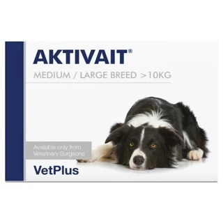 AKTIVAIT Medium & Large Breed( วิตามินบำรุงสมองและระบบประสาท สำหรับสุนัข บรรจุ 60 แคปซูล