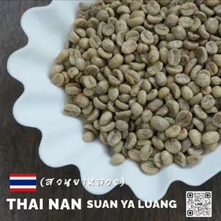 สารกาแฟไทยสวนยาหลวง จ.น่าน,Nan Suan Ya Luang -100% บรรจุ 5 - 20kg. RK.Coffeebean