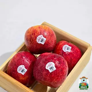 แอปเปิ้ลเอ็นวี่ Envy Apple อเมริกา ไซส์ L
